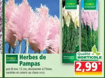 Norma Herbes de Pampas offre
