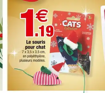 Bazarland Le souris pour chat offre