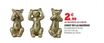 Hyper U Chat de la sagesse offre