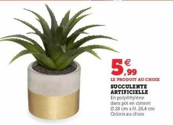Succulente artificielle