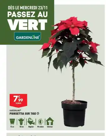 ALDI Poinsettia sur tige gardenline offre