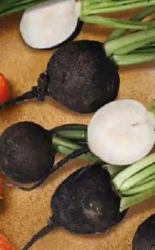 Radis Noirs