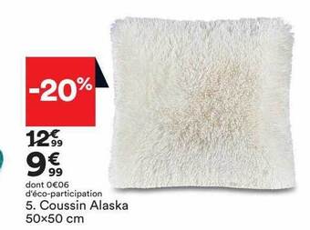 BUT Coussin alaska 50x50 cm offre