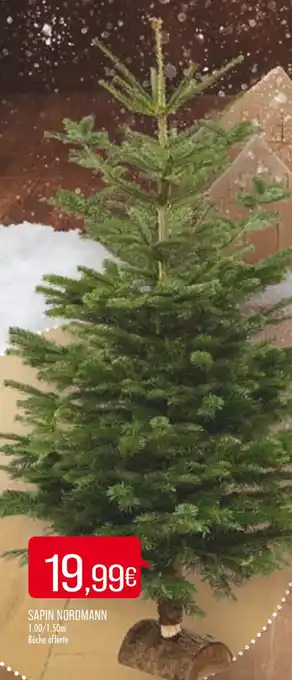Match Sapin Nordmann offre
