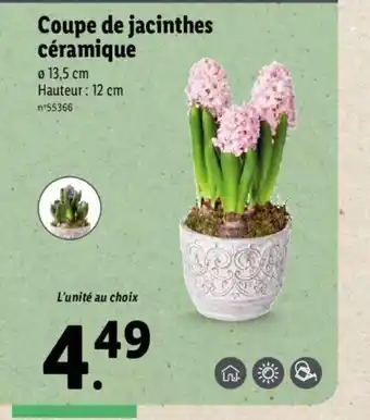 Lidl Coupe de Jacinthes Céramique offre