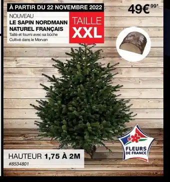 Costco Le Sapin Nordmann Naturel Francais offre
