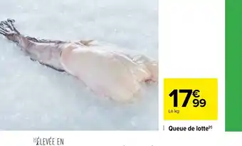 Carrefour Queue de Lotte offre