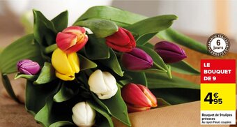 Carrefour Bouquet de 9 Tulipes Precoces offre