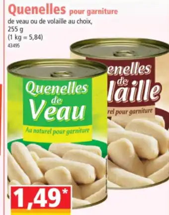 Norma Quenelles pour garniture offre