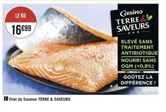 Spar Filet de saumon terre & saveurs offre