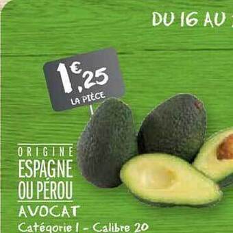 Avocat