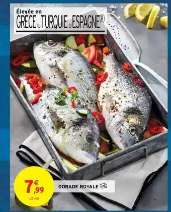 Intermarché Hyper Dorade royale offre