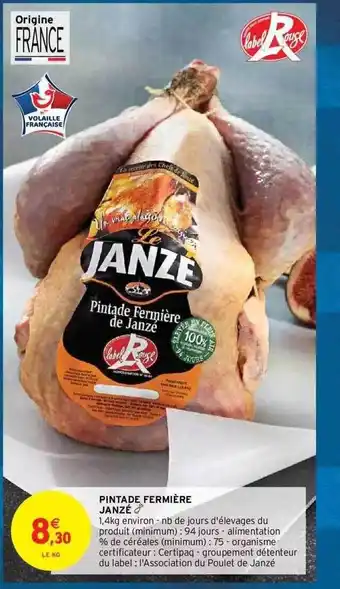 Pintade fermière janzé