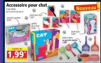 Norma Accessoire pour chat offre