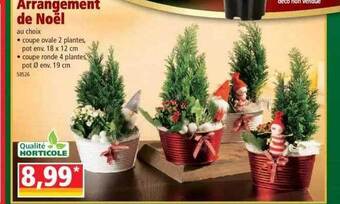 Norma Arrangement de noël offre