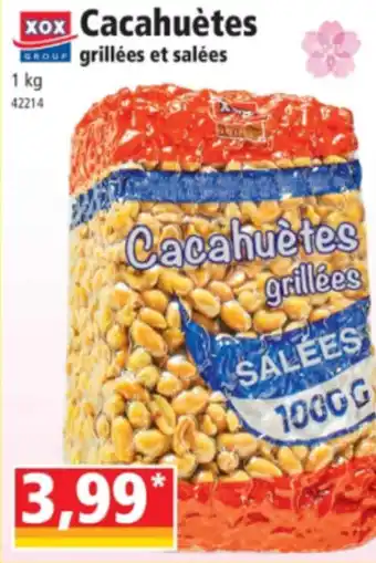 Norma Cacahuètes grillées et salées offre