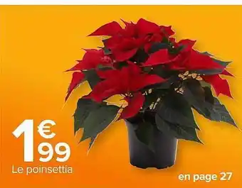 Carrefour Le poinsettia offre