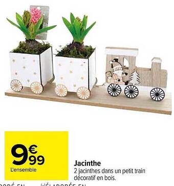 Carrefour Jacinthe offre