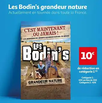 Auchan Les bodin’s grandeur nature offre