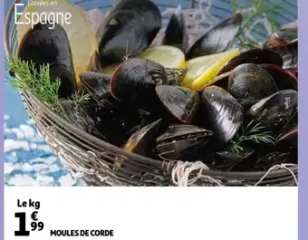 Auchan Moules de Corde offre