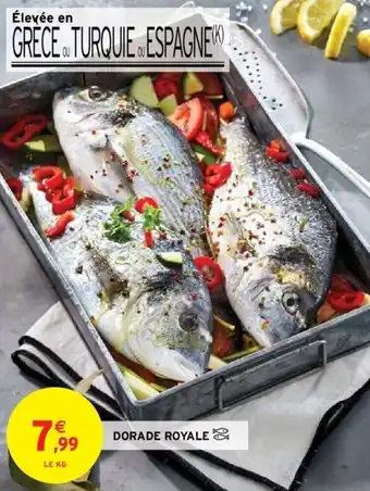 Intermarché Dorade royale offre