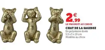 Hyper U Chat de La Sagesse offre