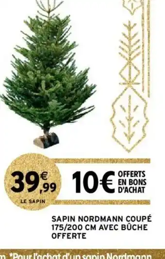 Sapin Nordmann Coupe 175/200cm Avec Buche Offerte