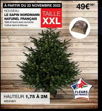 Le sapin nordmann naturel français