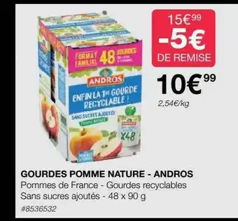 Costco Gourdes pomme nature - andros offre