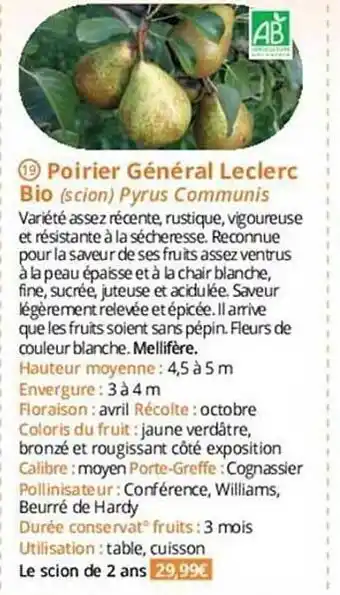 Magellan Poirier général leclerc bio offre