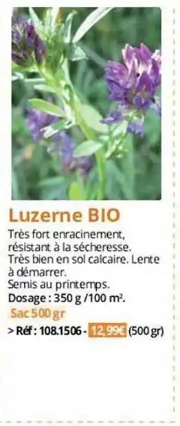 Magellan Luzerne bio offre