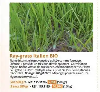 Magellan Ray-grass italien bio offre