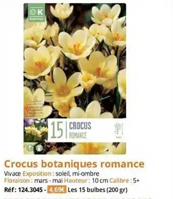 Crocus botaniques romance
