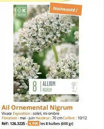 Magellan Ail ornemental nigrum offre