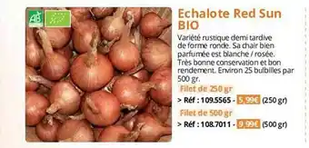 Magellan Échalote red sun bio offre