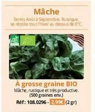 Magellan Mâche à grosse graine bio offre