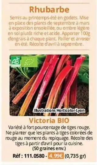 Magellan Rhubarbe victoria bio offre