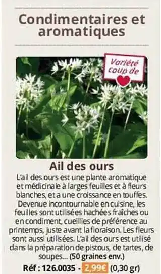 Condimentaires et aromatiques ail des ours