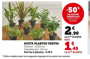 U Express Mixte plantes vertes offre