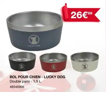 Bol pour chien - lucky dog