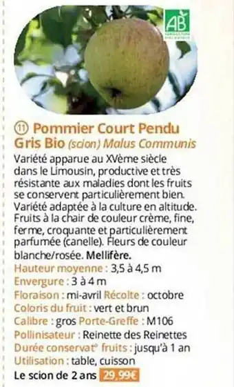 Magellan Pommier court pendu gris bio offre