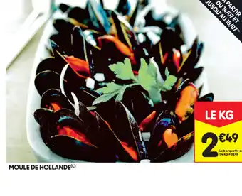 Moule de hollande