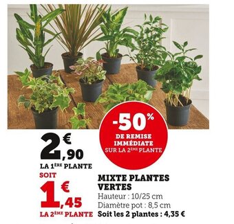 Super U Mixte Plantes Vertes offre