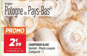 Netto Champignon Blanc offre