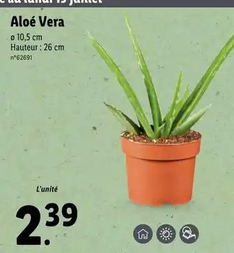 Lidl Aloé Vera offre
