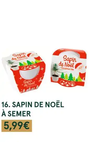Monoprix Sapin de noël à semer offre