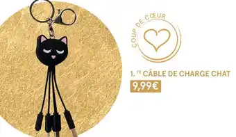 Monoprix Câble de charge chat offre