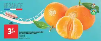 Auchan Clémentines feuilles corses filière auchan cultivons le bon offre