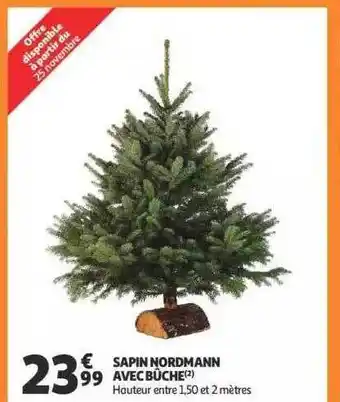 Auchan Sapin nordmann avec bûche offre