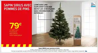 Sapin Sirius avec Pommes de Pins
